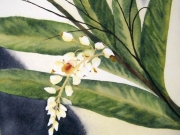 A Memory from Florida.jpg