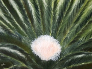 Tropical Treasure.jpg