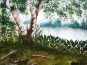 A Piece of Muskoka 1.jpg