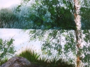 A Piece of Muskoka 2.jpg